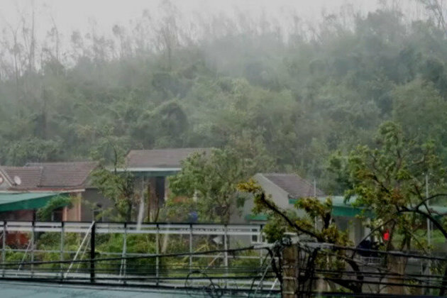 Typhoon Bualoi leaves 51 dead in Vietnam