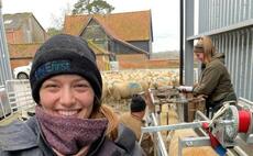 From the lambing shed: Hannah Murrell - "It's not unusual for me to dream about sheep at night"