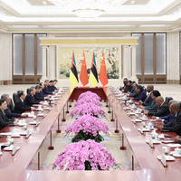 CHINA-BEIJING-LI QIANG-MOZAMBICAN PRESIDENT-MEETING (CN)