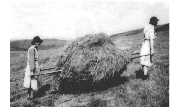 Women s history month 140723 p11 classic haymaking 580x358.jpg