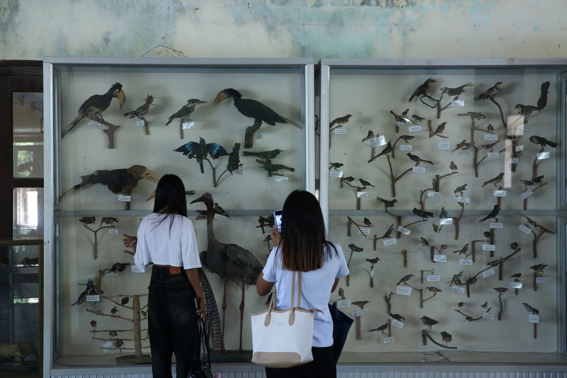 MYANMAR-YANGON-WILDLIFE