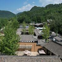 Culture | Riverside village in NW China's Gansu revives with ginkgo tree-inspired tourism