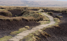 'Absurdly overdue': Government slammed over three year wait for promised ban on sale of peat composts