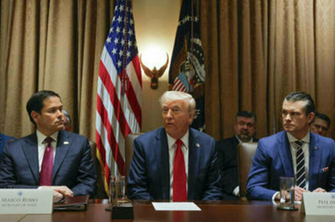 Ukraine can forget about NATO - Trump