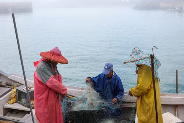 Amid national security concerns, Taiwan to remove illegal Chinese oyster racks from its territorial waters