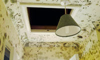 Survey shows North-South damp divide