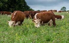 Regen special: FG survey reveals 43% of farmers believe consumers will pay more for regen-produced food
