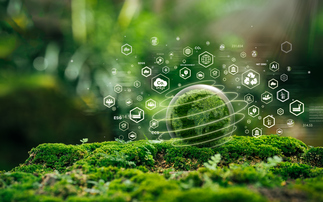 Pension schemes 'pulling ahead' of sponsors on ESG progress, LawDeb says