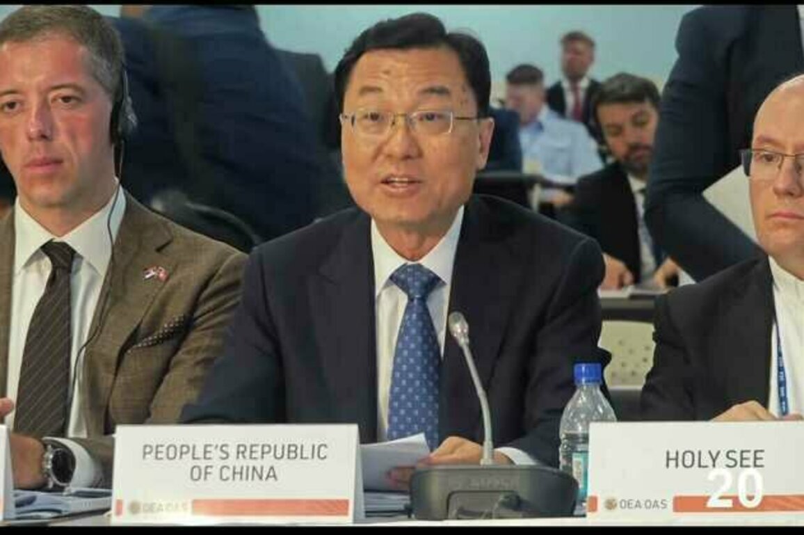 Chinese delegation attends Organization of American States meeting