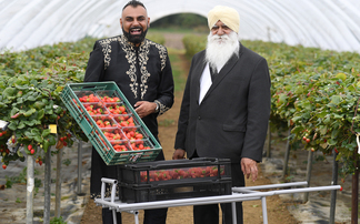 Strawberries, faith and farming: How a Punjabi family built a soft fruit empire in Worcestershire