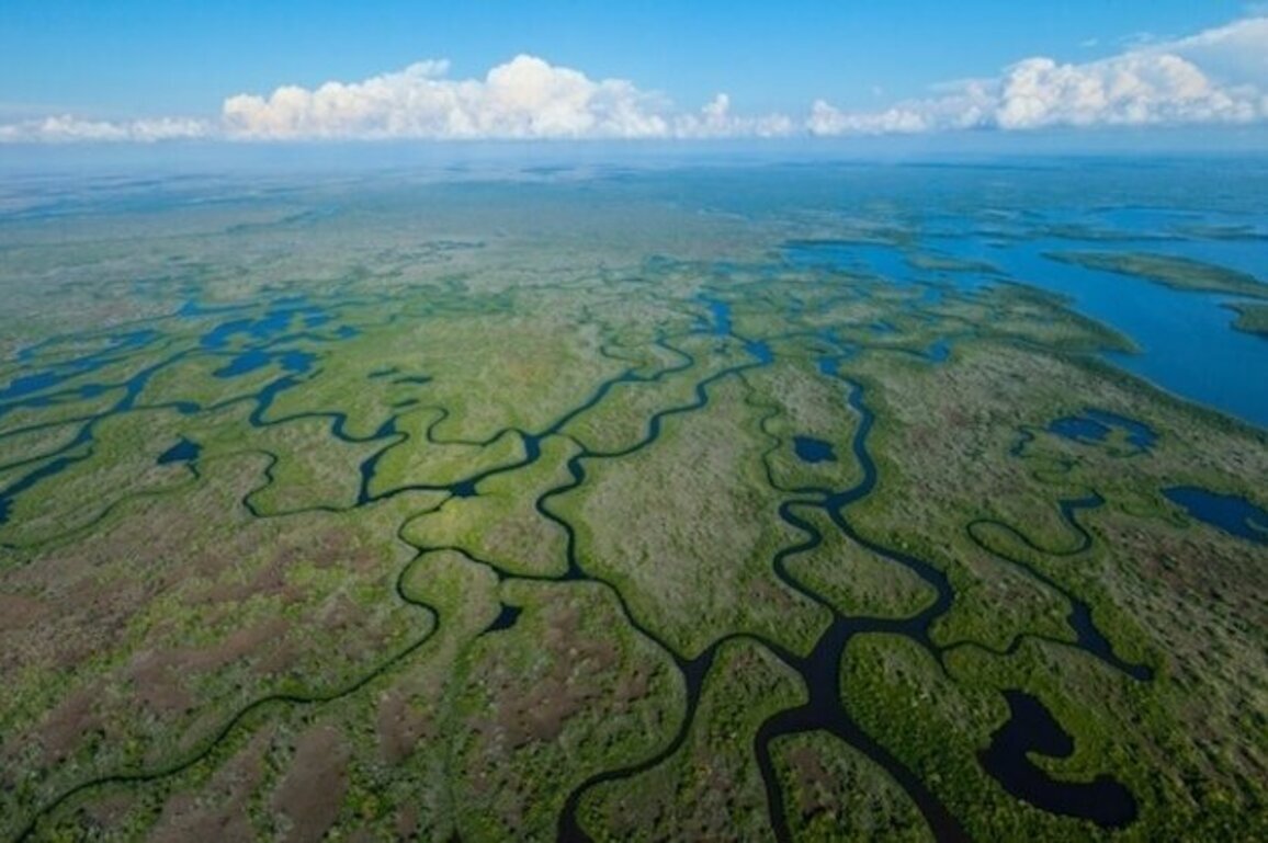 Can nature save Florida? Climate Correction 2026 says yes