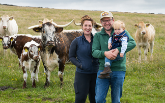 British Longhorns and Blondes prove a winning combination on Peak District farm