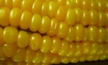 Corny partnership to boost ethanol production