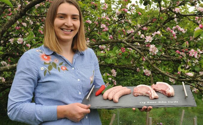 Opportunity in pigs for young Welsh farmer
