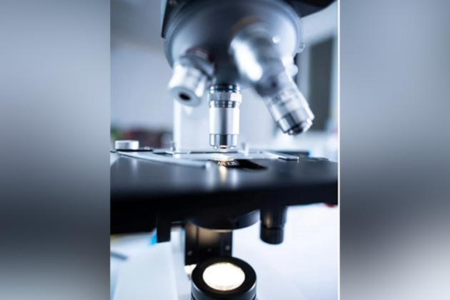 Scientists use AI to better understand nanoparticles: Study