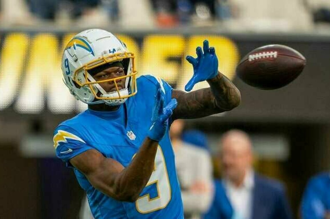 Falcons sign WR DJ Chark