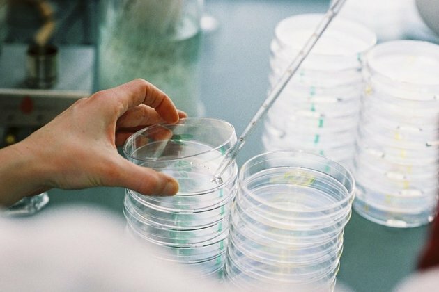 Scientists revive 48,500 year-old virus