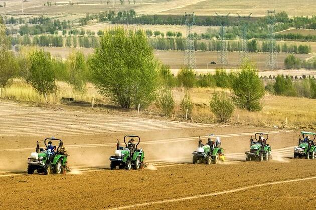 China's coarse-grain foods gain popularity amid rising health awareness