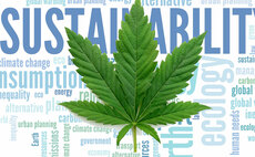 It's high time for the cannabis industry to embrace sustainability
