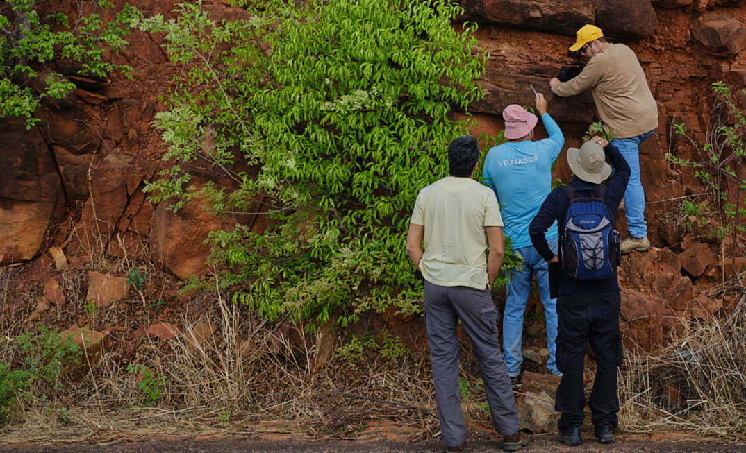 Exploração terras raras Origen Piauí PI Pico Campo de Cima Pesquisa Minerl