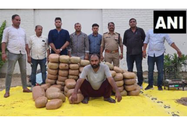 UP Police seizes 275 kg ganja worth Rs 1.5 crores, one held