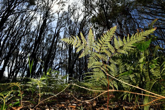 6 books about the climate crisis that offer hope, recommended by experts