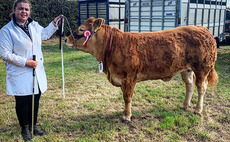 Young Farmer Focus: Charlotte Garbutt - 'A key requirement for farming is passion and, with it, determination'