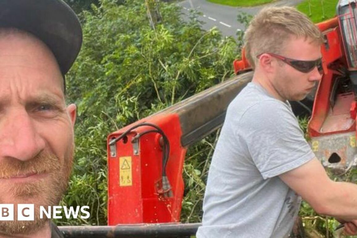 Sycamore Gap felling 'bit of a laugh' to accused, says prosecutor