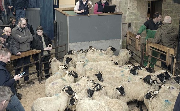Last sale takes place at Forfar Mart