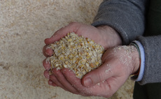 How crimped maize has earned its place on a Hertfordshire farm