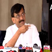 "Our fight is only against imposition of Hindi in primary education": Sena UBT MP Sanjay Raut