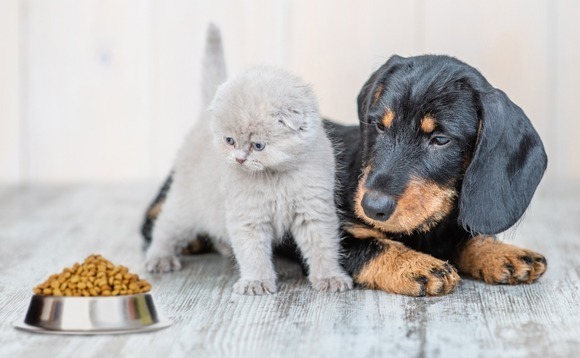 Boyu, Confitop lead pre-IPO round for China pet food player