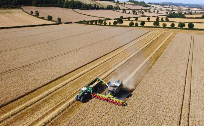 Harvest 2025: Catchy weather temporarily halts combines