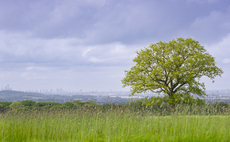 'Ripe for rewilding': Nattergal to restore 'largely ecologically degraded' Essex farm