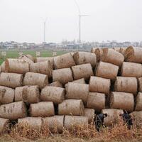 Riverside industrial city turns waste into resources in circular economy drive