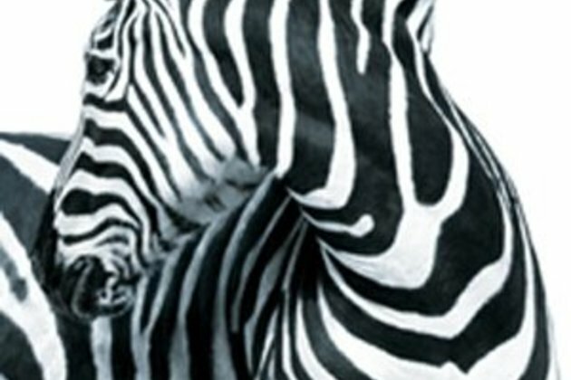 Investec ups climate investment, clarity as pressure grows