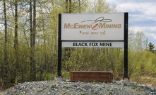  Black Fox in Timmins, Ontario, Canada