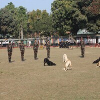 Assam Rifles showcases prowess of its canines to officials at Jorhat