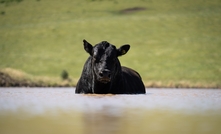 Recent research has highlighted the agricultural sector as among the most heat-exposed industries in Australia.