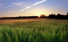 Waitrose partners with National Geographic for regenerative farming series