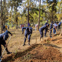 RWANDA-KIGALI-GIANTS OF AFRICA FESTIVAL-COMMUNITY ACTIVITY