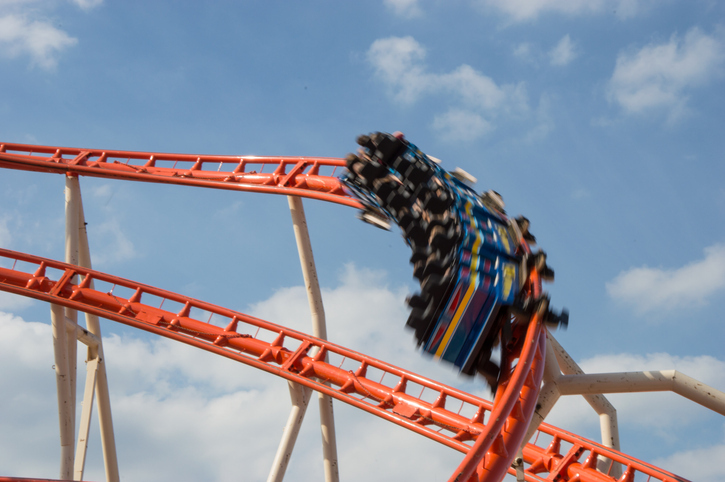 Equities: Surviving the roller coaster