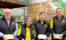Auric managing director Mark English, marketing manager Wiggy Saunders, senior geologist Nicholas Snow and technical director John utley holding gold dore bars