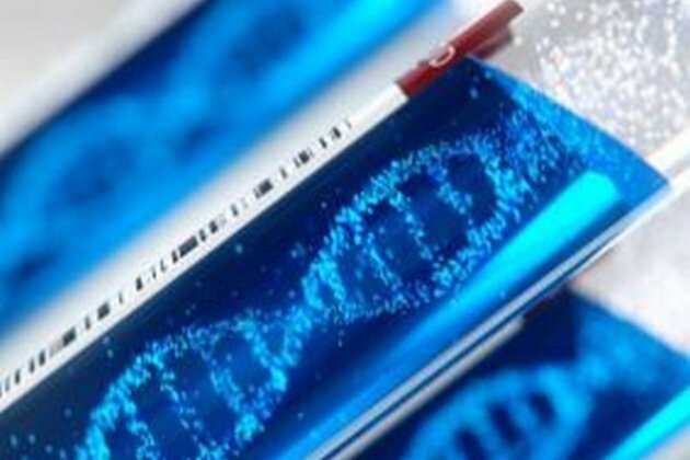 Genome editing to treat human retinal degeneration