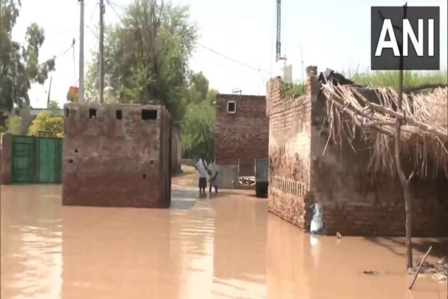 Punjab floods toll rises to 46; over 2,000 villages, four lakh people affected