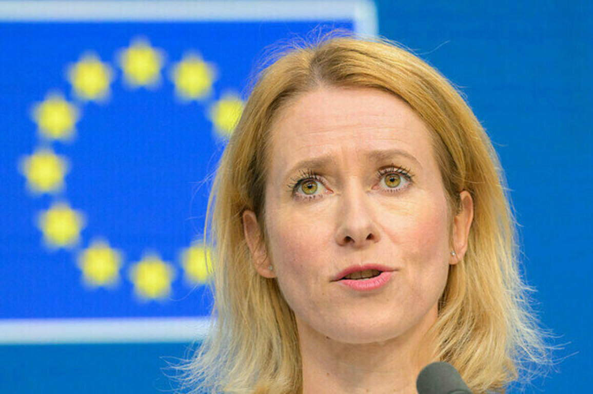 EU must mend relations with Trump  top diplomat