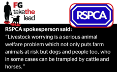 #FGTaketheLead: RSPCA show their support