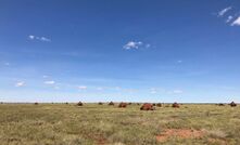  The Euro project in the Tanami region