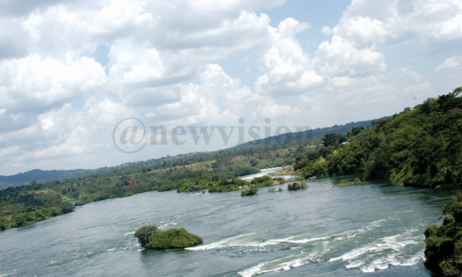 A love letter to River Nile A love letter to River Nile