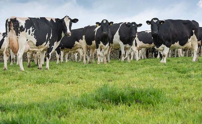 Cost of living hits global dairy demand